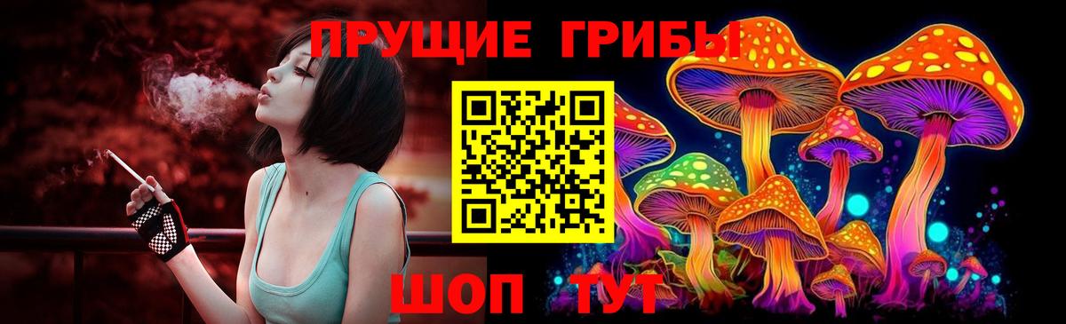 Псилоцибиновые грибы мухоморы  Вход с VPN  Псилоцибиновые грибы мухоморы  Заволжье 